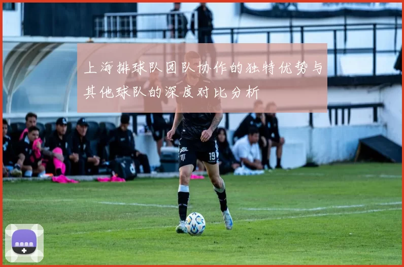 上海排球队团队协作的独特优势与其他球队的深度对比分析