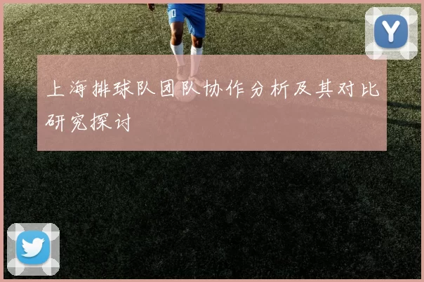 上海排球队团队协作分析及其对比研究探讨