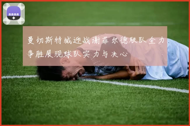 曼切斯特城迎战谢菲尔德联队全力争胜展现球队实力与决心