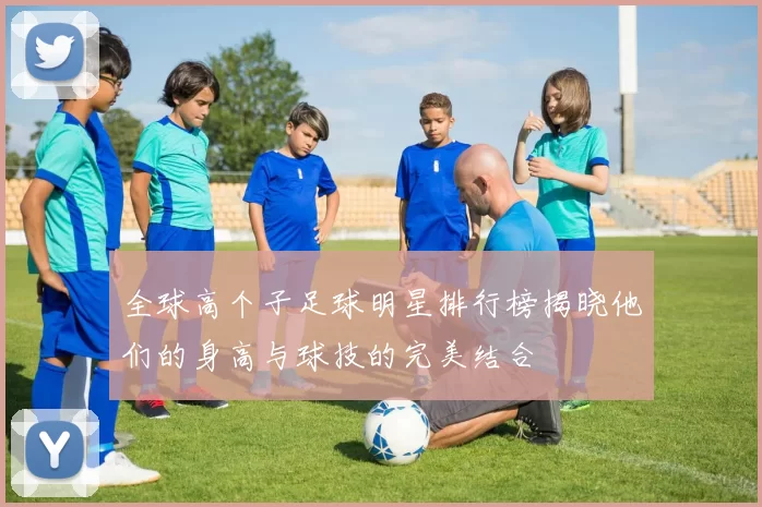 全球高个子足球明星排行榜揭晓他们的身高与球技的完美结合