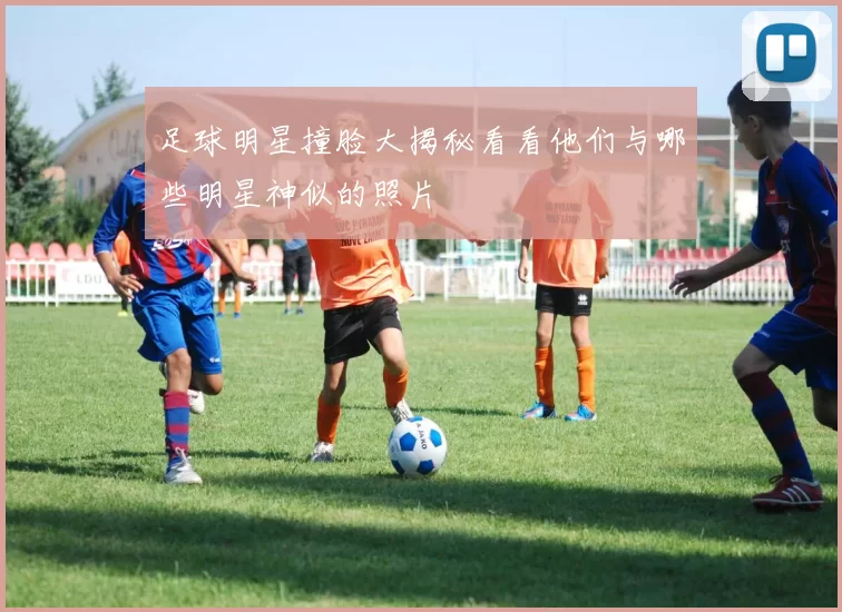 足球明星撞脸大揭秘看看他们与哪些明星神似的照片