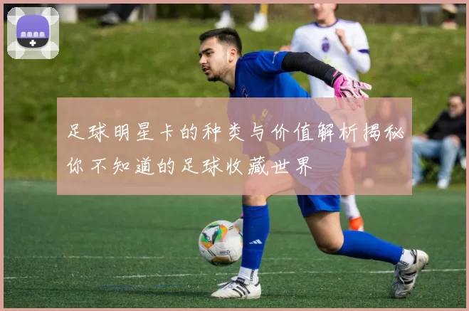 足球明星卡的种类与价值解析揭秘你不知道的足球收藏世界