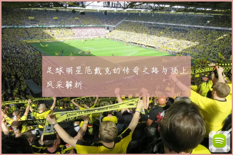 足球明星范戴克的传奇之路与场上风采解析