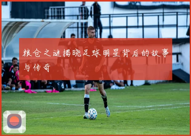 粮仓之谜揭晓足球明星背后的故事与传奇