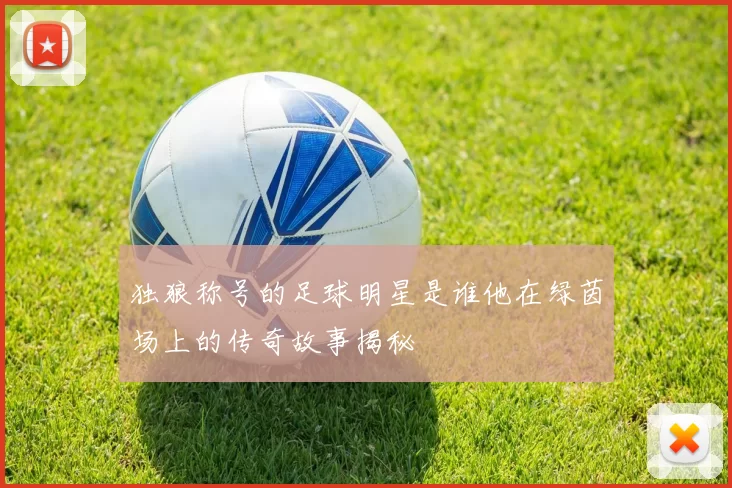 独狼称号的足球明星是谁他在绿茵场上的传奇故事揭秘