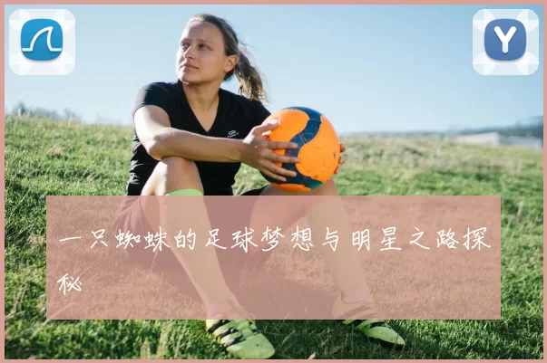 一只蜘蛛的足球梦想与明星之路探秘