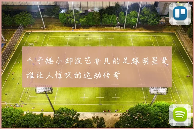 个子矮小却技艺非凡的足球明星是谁让人惊叹的运动传奇