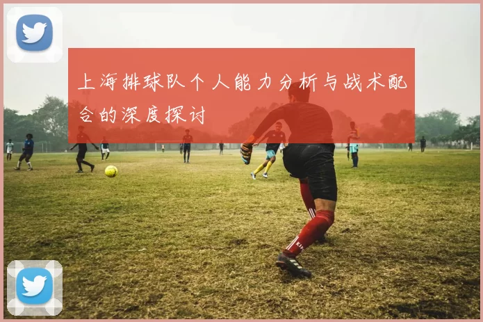 上海排球队个人能力分析与战术配合的深度探讨
