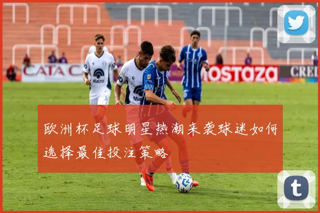 欧洲杯足球明星热潮来袭球迷如何选择最佳投注策略